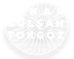 Pınar Gülşah Tokgöz